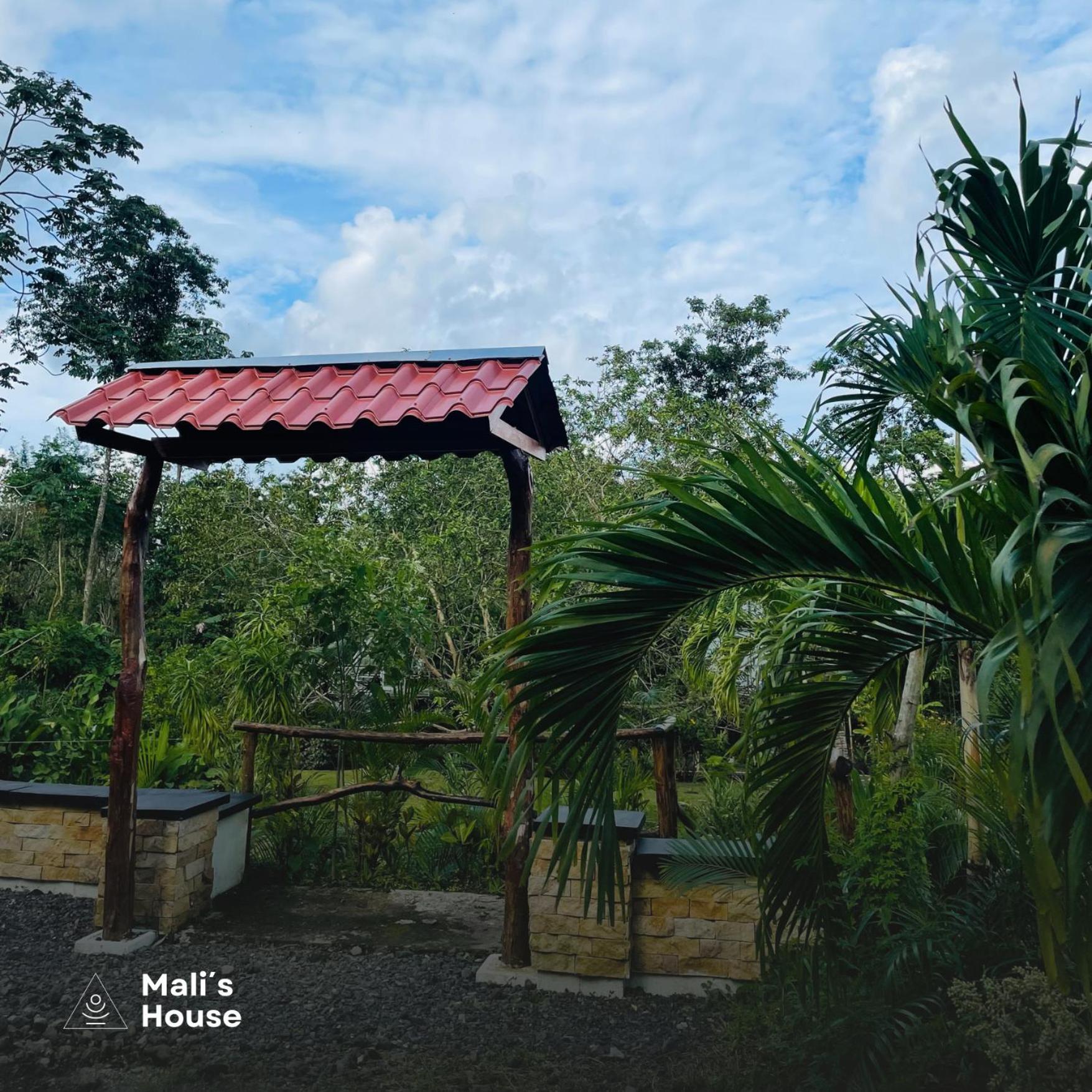 Hotel Mali'S House La Fortuna Zewnętrze zdjęcie