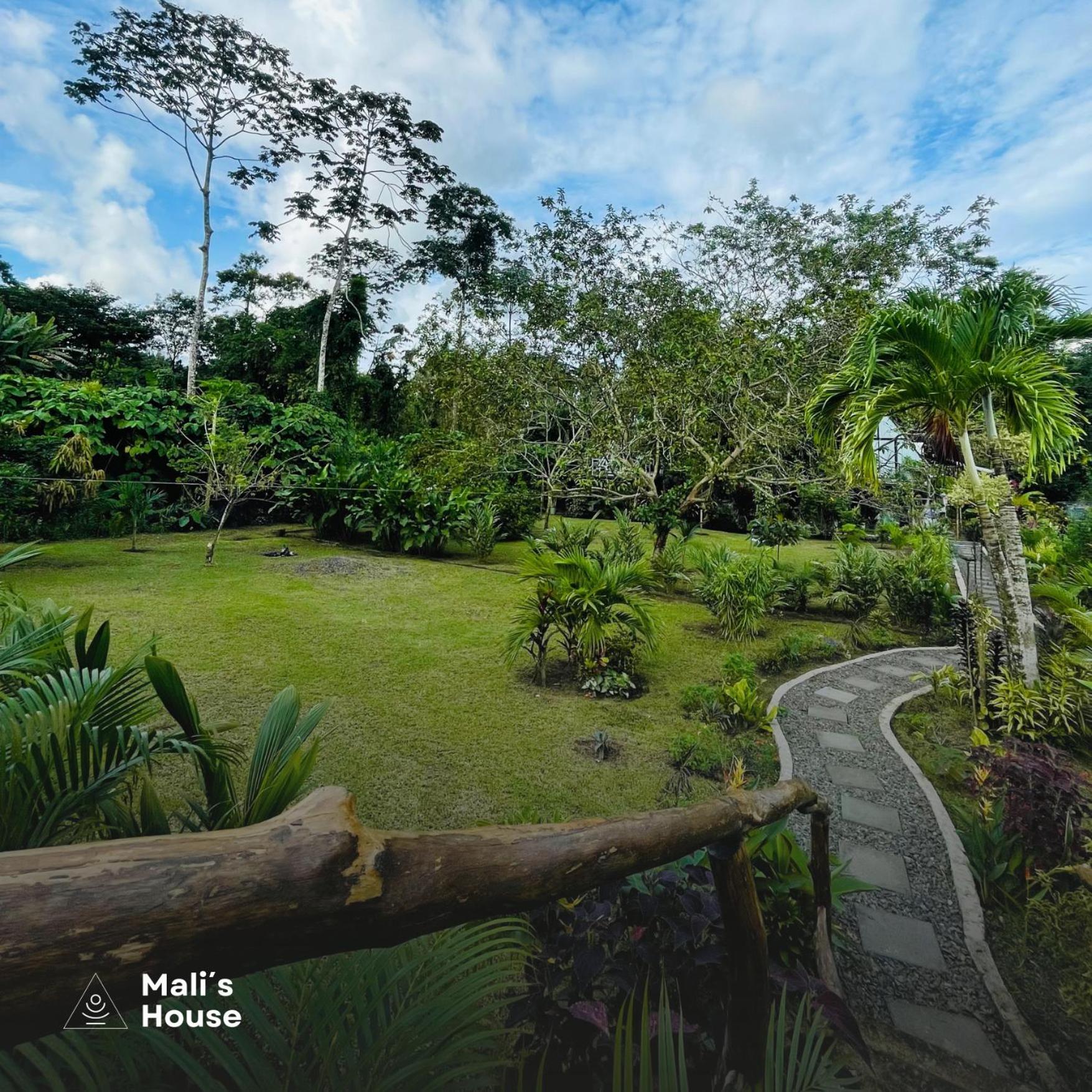 Hotel Mali'S House La Fortuna Zewnętrze zdjęcie