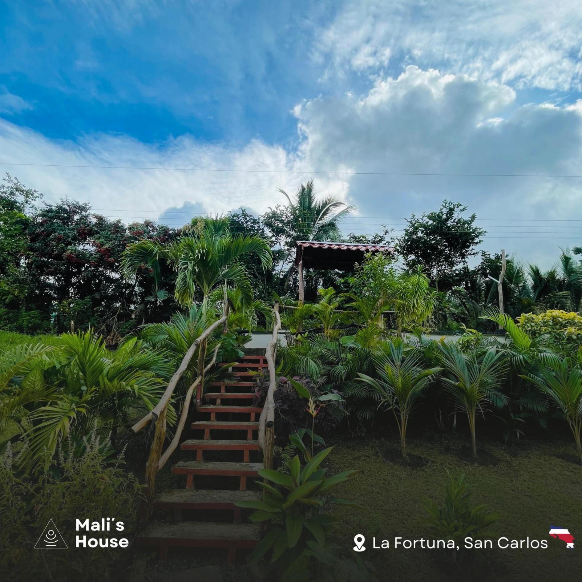 Hotel Mali'S House La Fortuna Zewnętrze zdjęcie